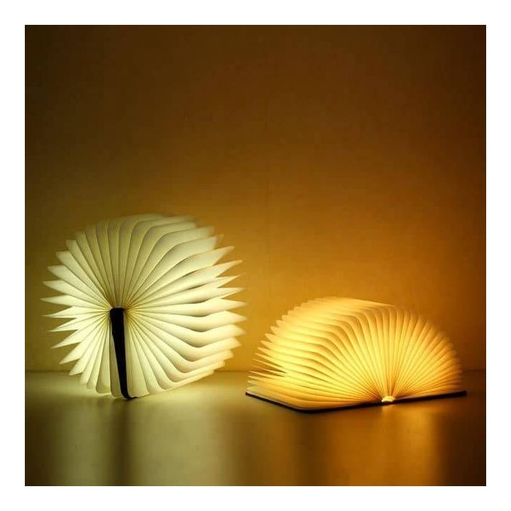 Livre lampe pliante